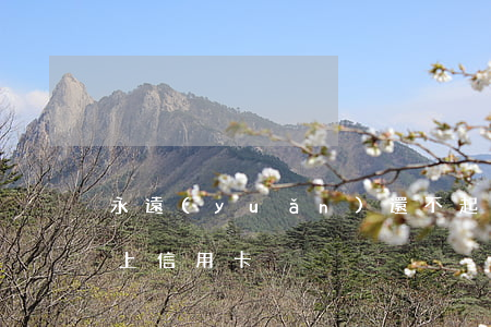永遠(yuǎn)還不起信用卡嗎 一直還不上信用卡