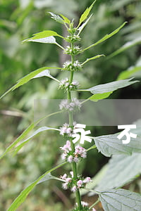 永遠不還信用卡會坐牢嗎