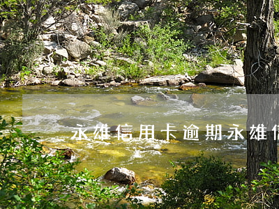永雄信用卡逾期(永雄信用卡逾期怎么辦)