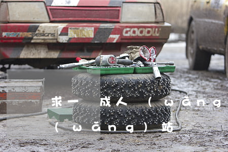 求一個成人網(wǎng)站(求一個成人網(wǎng)站)