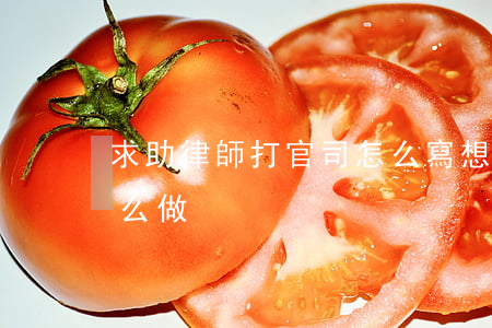 求助律師打官司怎么寫(想找律師打官司要怎么做)