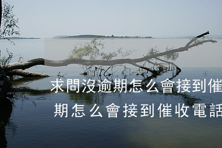 求問沒逾期怎么會接到催收電話-求問沒逾期怎么會接到催收電話呢