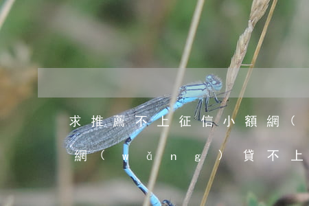 求推薦不上征信小額網(wǎng)貸(小額網(wǎng)貸不上征信的口子)