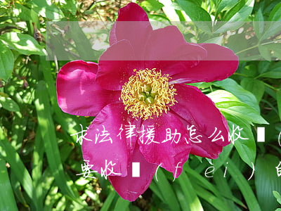 求法律援助怎么收費(fèi)(法律援助是要收費(fèi)的法律服務(wù))