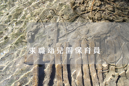 求職幼兒園保育員
