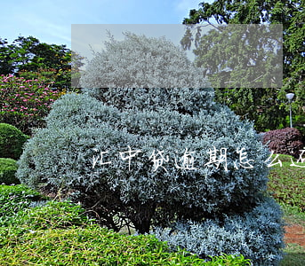 汇中贷逾期怎么还款(汇中借贷是不是倒闭)