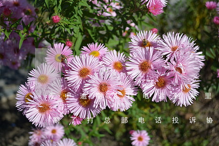 汇中逾期了打电话到家里怎么举报-汇中逾期了打总部电话投诉协商有用没