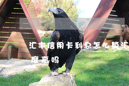 汇丰信用卡利息怎么算(汇丰银行卡信用卡额度高吗)