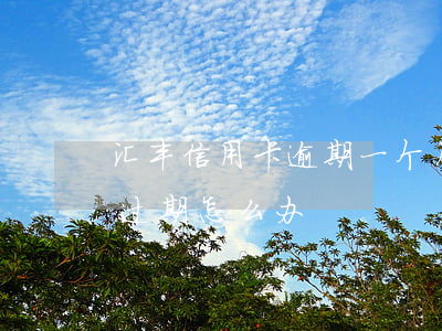 汇丰信用卡逾期一个月怎么处理(汇丰银行卡过期怎么办)