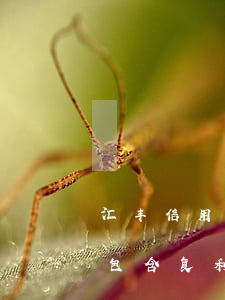 汇丰信用卡逾期利息是复利吗(逾期利息是否包含复利)