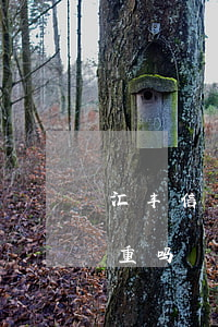 汇丰信用卡逾期后果(汇丰信用卡逾期后果严重吗)