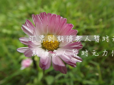 汇票到期债务人暂时无力偿还分录-汇票到期债务人暂时无力偿还分录怎么写