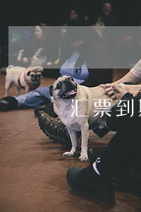 汇票到期无力偿还算法(汇票到期不付款)