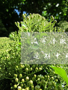 汇算清缴逾期申报要带什么资料-汇算清缴逾期申报要带什么资料呢