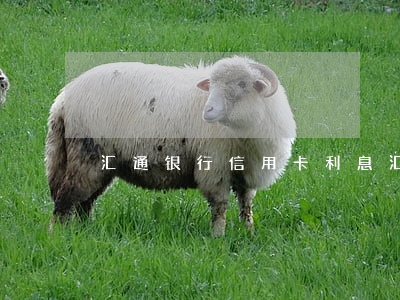 汇通银行信用卡利息 汇通人民币信用卡