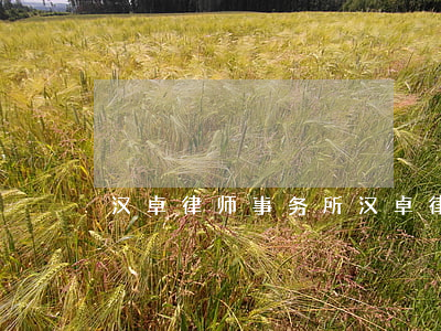 汉卓律师事务所(汉卓律师事务所霍明亮)