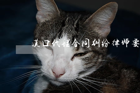 汉口代理合同纠纷律师要多少钱