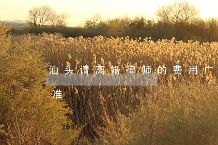汕头请离婚律师的费用(广东离婚律师收费标准)