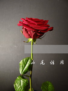 汕尾信用卡停息掛賬公司(辦理信用卡停息掛賬)