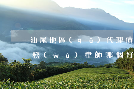 汕尾地區(qū)代理債權(quán)債務(wù)律師哪個好-汕尾市最好的律師