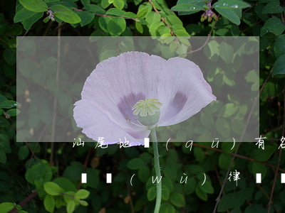 汕尾地區(qū)有名的債權(quán)債務(wù)律師費(fèi)用-汕尾最出名的律師