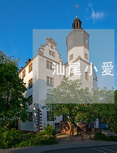 汕尾小愛姐姐離婚