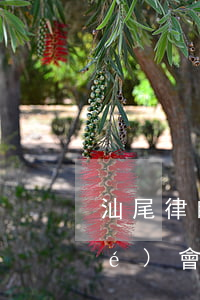 汕尾律師事務所在哪里(汕尾市律師協(xié)會)