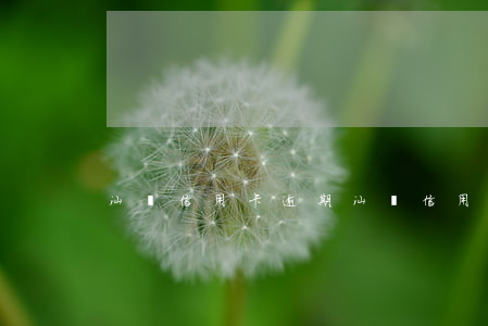 汕頭信用卡逾期(汕頭信用卡逾期怎么辦)