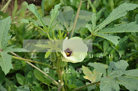 汕頭債權(quán)債務(wù)律師(汕頭要債公司)