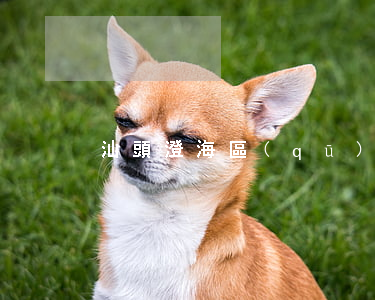 汕頭澄海區(qū)停息掛賬