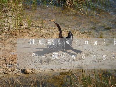 汕頭網(wǎng)貸逾期停息掛賬申請條件-網(wǎng)貸沒有逾期可以申請停息掛賬嗎