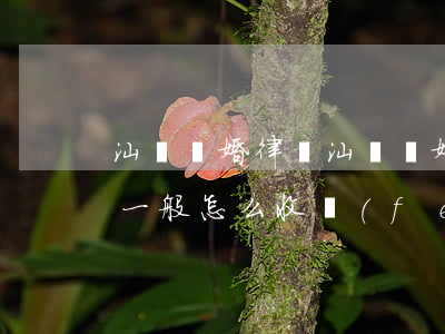 汕頭離婚律師(汕頭離婚律師費(fèi)用一般怎么收費(fèi))