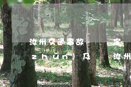 汝州交通事故傷殘鑒定標(biāo)準(zhǔn)及賠償(汝州近期交通事故)