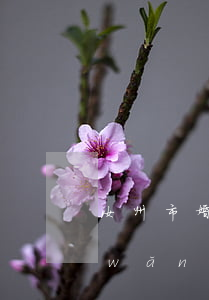 汝州市婚姻債務(wù)律師(汝州婚戀網(wǎng))
