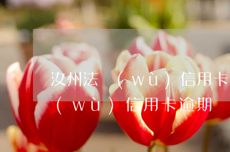 汝州法務(wù)信用卡逾期處理(汝州法務(wù)信用卡逾期處理)