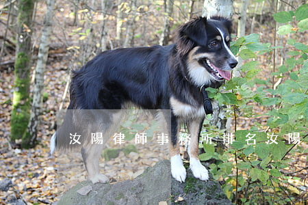 汝陽律師事務所排名(汝陽律師事務所排名)