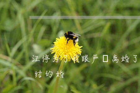 江停为了我跟严峫离婚了.(江停严峫在哪里结的婚)