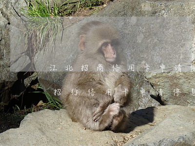 江北招商信用卡申请停息挂账技巧-怎么和招行信用卡申请停息挂账