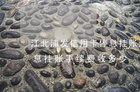 江北浦发信用卡停息挂账法务咨询-浦发停息挂账手续费收多少