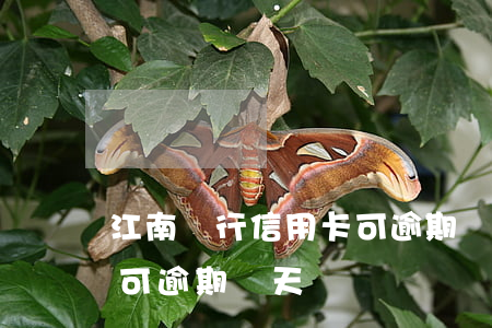 江南銀行信用卡可逾期幾天(江南銀行信用卡可逾期幾天還)