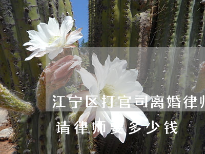 江宁区打官司离婚律师价格多少(打离婚官司请律师要多少钱)