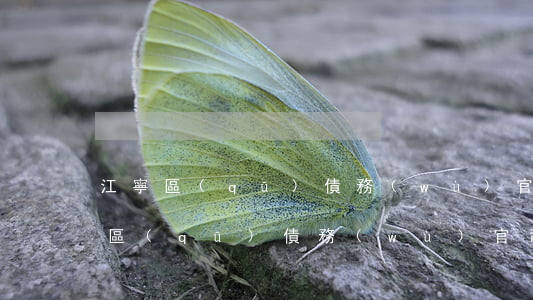 江寧區(qū)債務(wù)官司律師(江寧區(qū)債務(wù)官司律師)