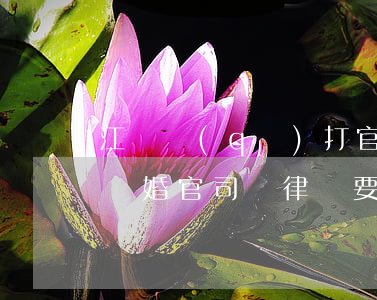 江寧區(qū)打官司離婚律師價格多少(打離婚官司請律師要多少錢)