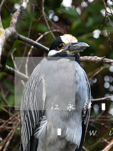 江永律師事務(wù)所在哪里(永平律師事務(wù)所在哪里)