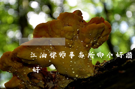 江油律师事务所哪个好(潜江律师事务所哪家好)