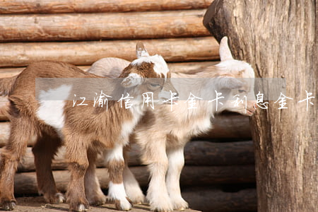 江渝信用卡金卡利息(金卡利息比普通卡多嗎)