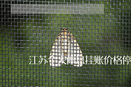 江苏个人停息挂账价格 停息挂账申请流程