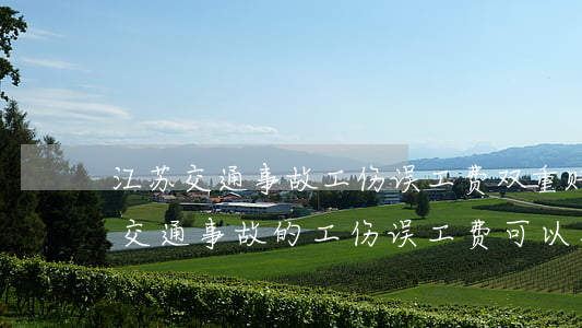 江苏交通事故工伤误工费双重赔偿(苏州地区交通事故的工伤误工费可以双赔吗)