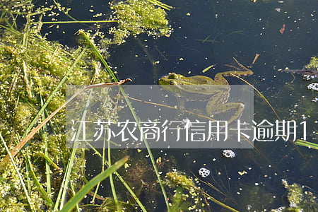 江苏农商行信用卡逾期1天