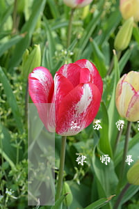 江苏常熟最好的律师事务所(江苏常熟最好的律师事务所)
